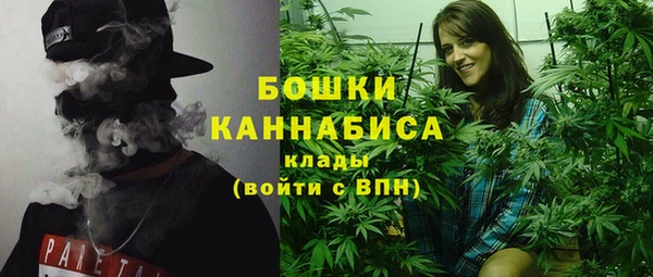шишки Белоозёрский