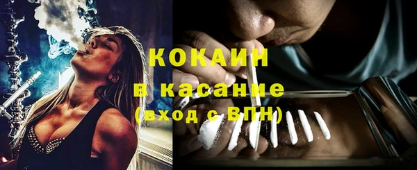 шишки Белоозёрский