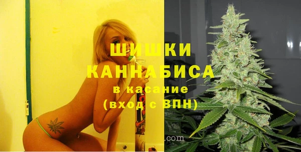 шишки Белоозёрский