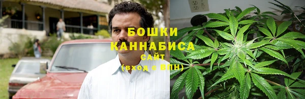 шишки Белоозёрский