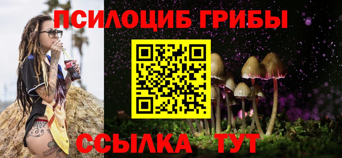 Псилоцибиновые грибы Cubensis Маркс