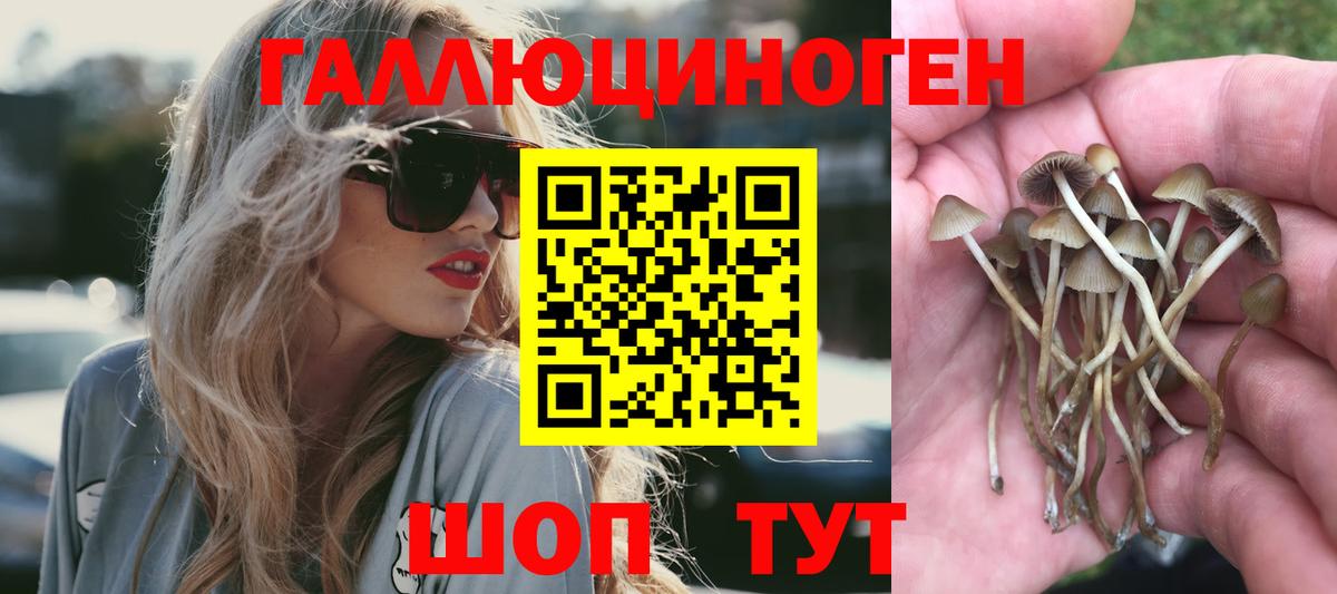 Маркс  Галлюциногенные грибы Psilocybine cubensis  Псилоцибиновые грибы Magic Shrooms  Вход с VPN 